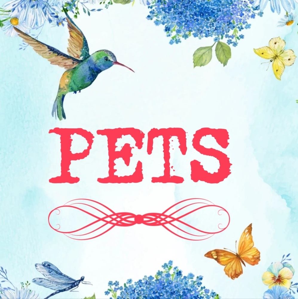 Pet items - Picture 1 of 4